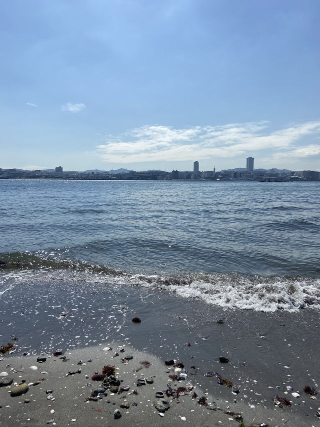 【猿島】都会から行ける魅惑の無人島🏝️