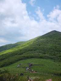 Wandering Through the Clouds at Heavenly Garden