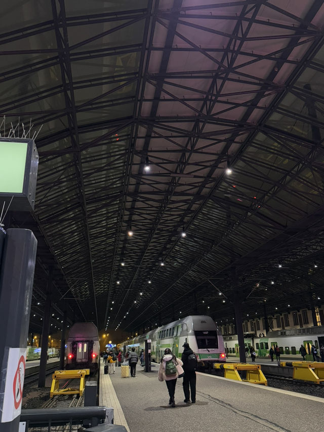 【フィンランド🇫🇮】寝台列車の旅夢のサンタクロースエクスプレス🎅🏼🚃
