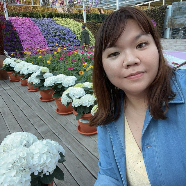 Cameron highlands