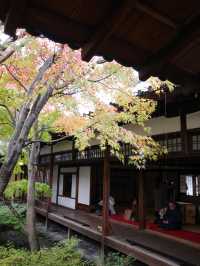 🍂【京都 祇園】心に風が吹くような静けさ。「建仁寺」で、禅と美の時間を🌬️🪷 
