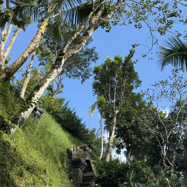 Weekend Escape to Bali Ubud 🌴✨