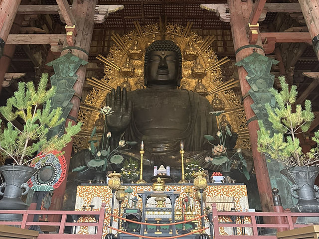 東大寺：在奈良探訪千年古寺，感受佛教文化的莊嚴與美麗！