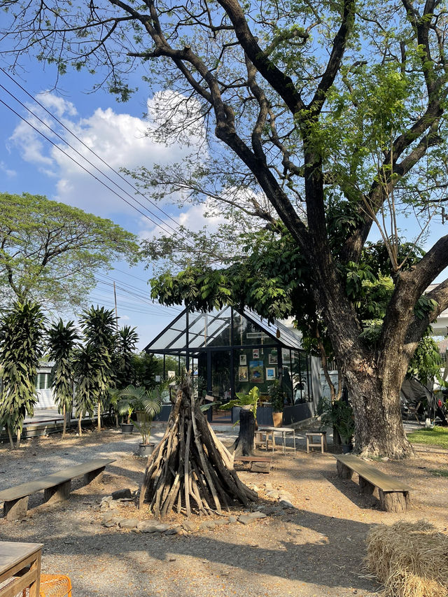 Ground Phlox Cafe 🏕️ ซอยเฉลิมพระเกียรติ 75 