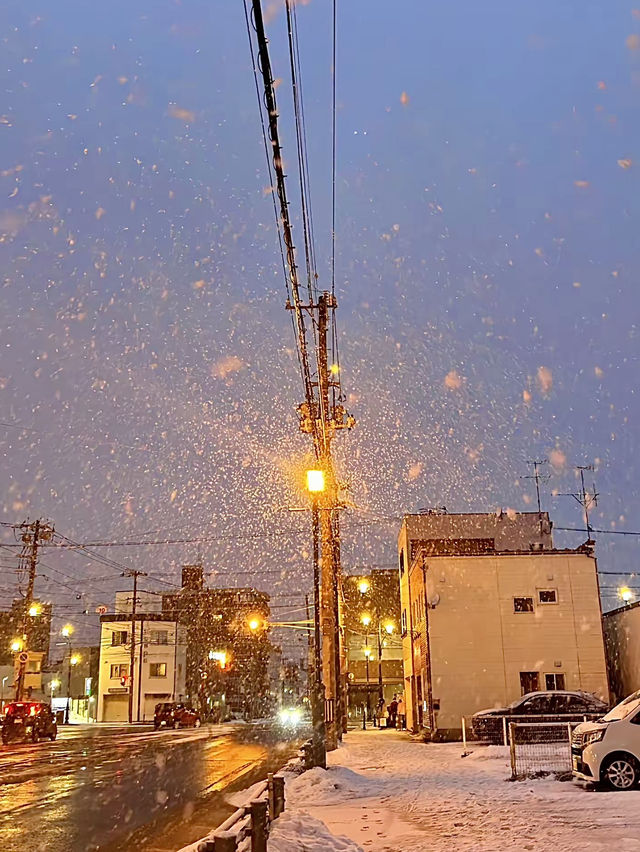 โอซาก้า🇯🇵❄️