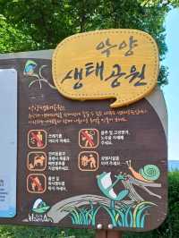 꽃길을 따라 걷는 봄 데이트