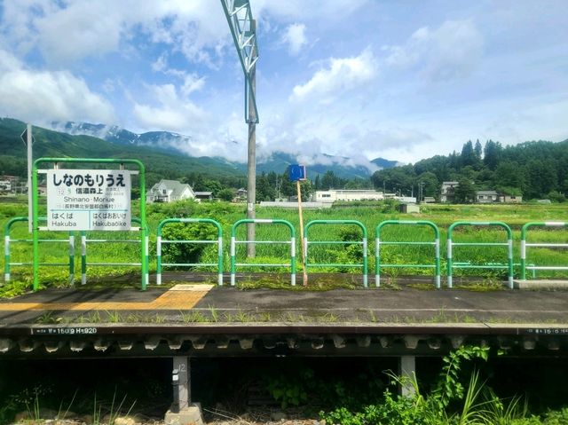 snow peak Land Station Hakuba(스노우피크 하쿠바) 스타벅스