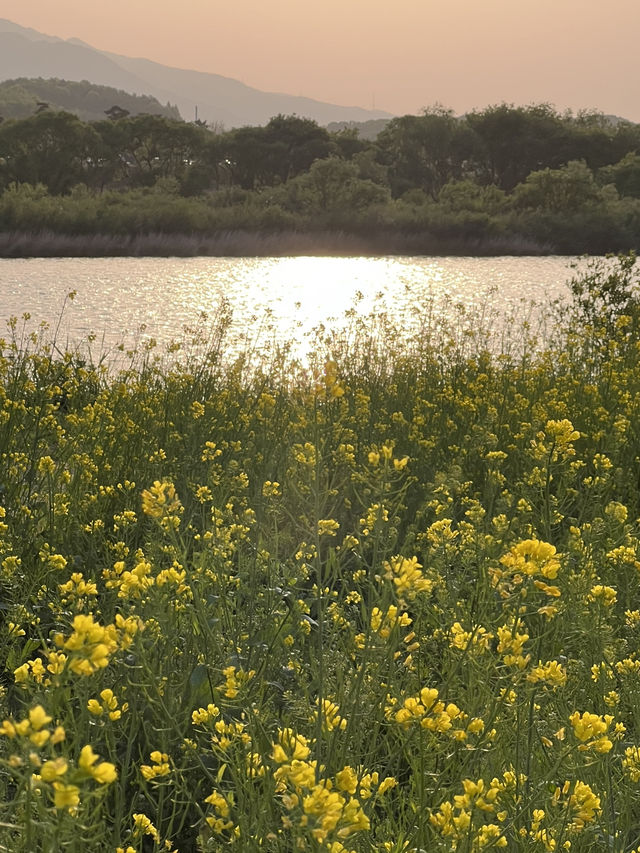 충주 당일치기 여행코스🩶🐊