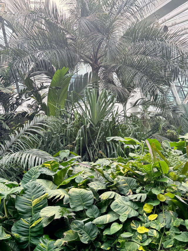 [서울식물원 방문기] 도심 속에서 만나는 초록 힐링 여행🌿