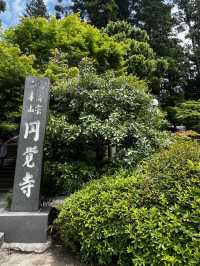 円覚寺って、“禅のお寺”って聞くけど…正直、何すればいいの？🇯🇵✈️🌎