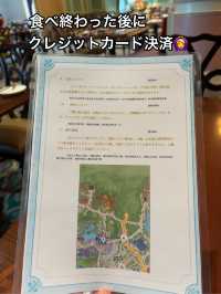 【上海ディズニー】イルミネイトを良い位置で鑑賞したい方へ
