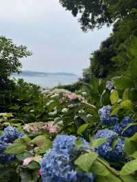 🏯【神奈川・長谷寺】四季を感じる花の名刹で、鎌倉時間をゆったりと