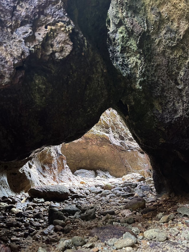 A Refreshing & Budget-Friendly Adventure – Tanjung Tuan Recreational Forest, Port Dickson