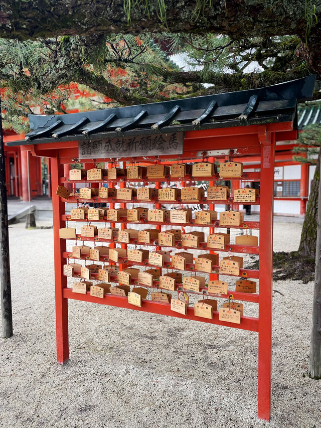 京都岡崎神社｜兔兔守護神社超可愛必拍！