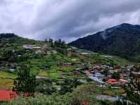 Kundasang's Best: Farm Fun, Rainforest Thrills & Wild Flavors!