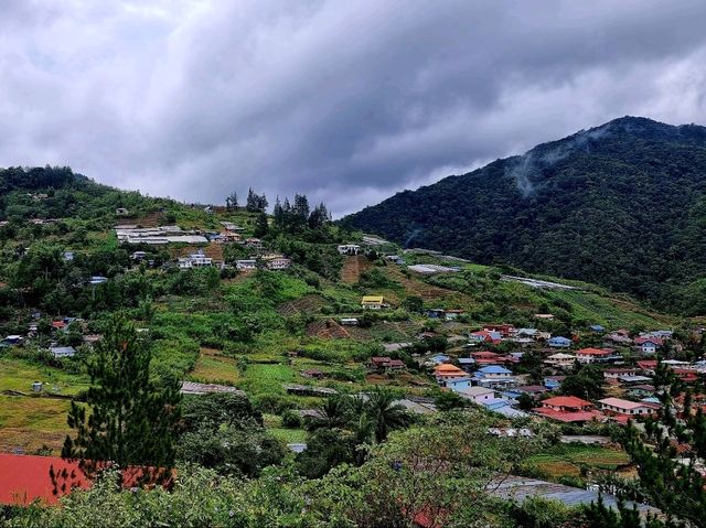 Kundasang's Best: Farm Fun, Rainforest Thrills & Wild Flavors!