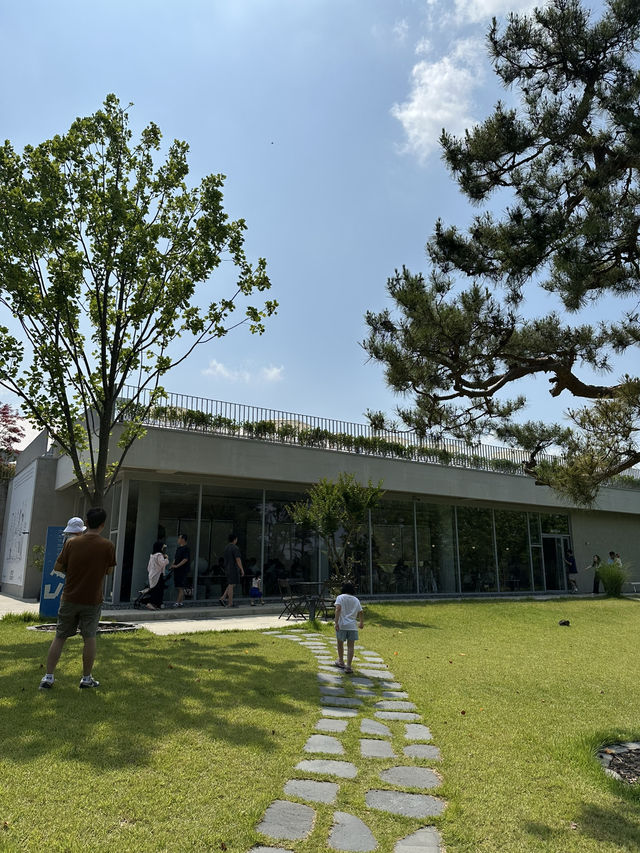 🌿 브리프 저니: 자연 속 휴식과 문화🌳