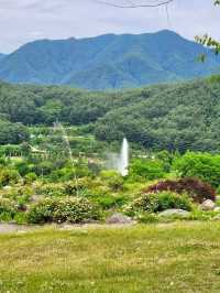 엄청난 규모의 수목원, 국립백두대간 수목원🌳