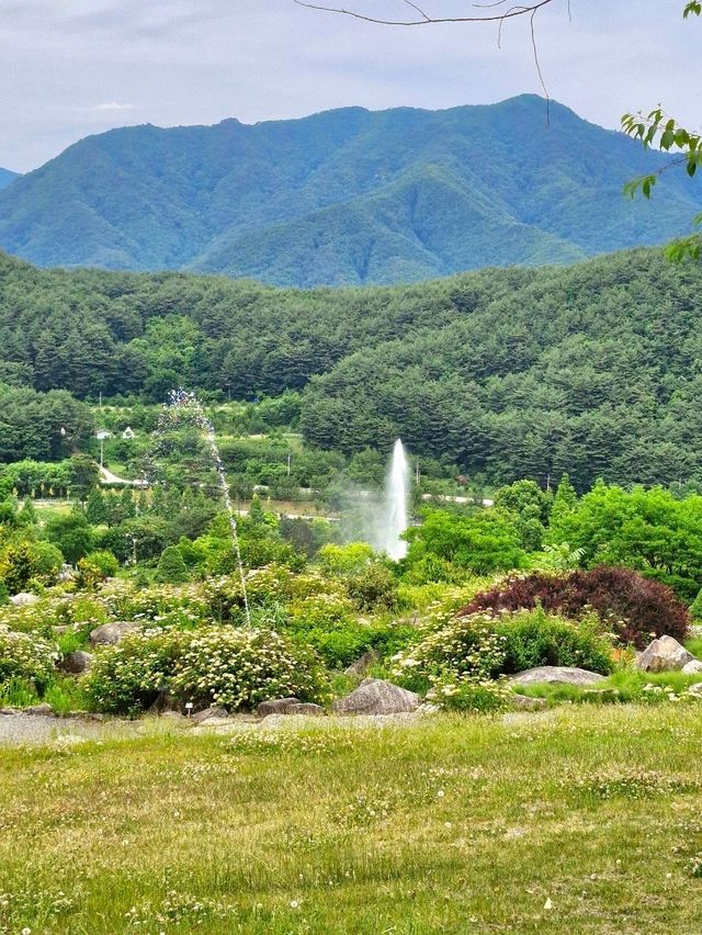 엄청난 규모의 수목원, 국립백두대간 수목원🌳