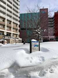 ❄️《走進雪的國度：青森，降雪量驚人的冬日魔法》⛄