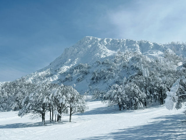 樹冰高原中的滑雪天堂❄️