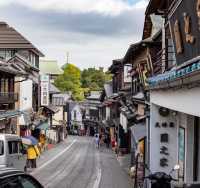 Visit Narita before your flight