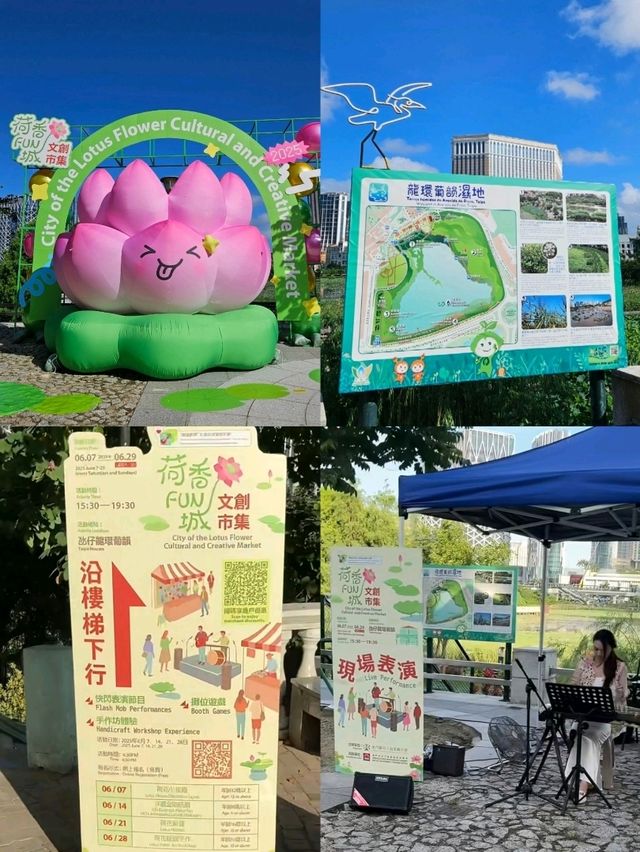 澳門親子遊攻略🇲🇴 Pop mart 🩷hello kitty 📷荷花節，豐富一日遊