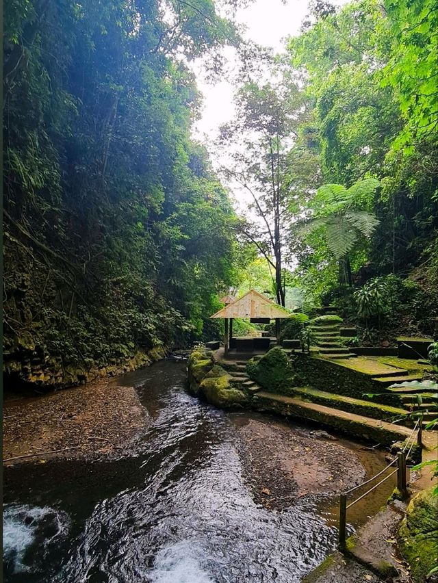 🏞️ : Git Git Waterfall เที่ยวบาหลี