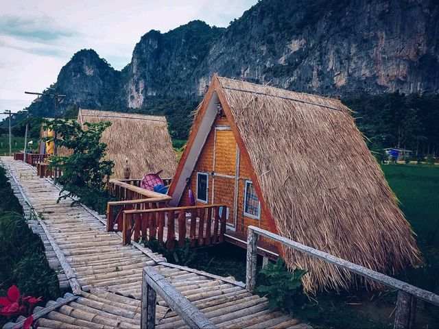 🌾 นอนฟิน กินหมูกระทะ กลางทุ่งนาเขียว 🍃