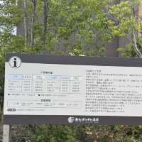 일본 다카마쓰 포카포카 온천