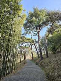 🌳부산에서 제일 아름다운 힐링 숲