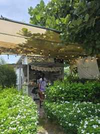 Nonchaya Cafe and Garden ร้านกาแฟเก๋ๆ น่าแวะ
