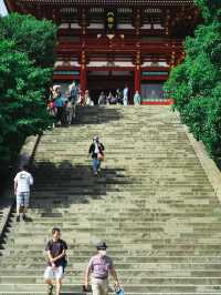 ⛩源氏の歴史と四季の美に触れる「鶴岡八幡宮」で心澄む鎌倉旅