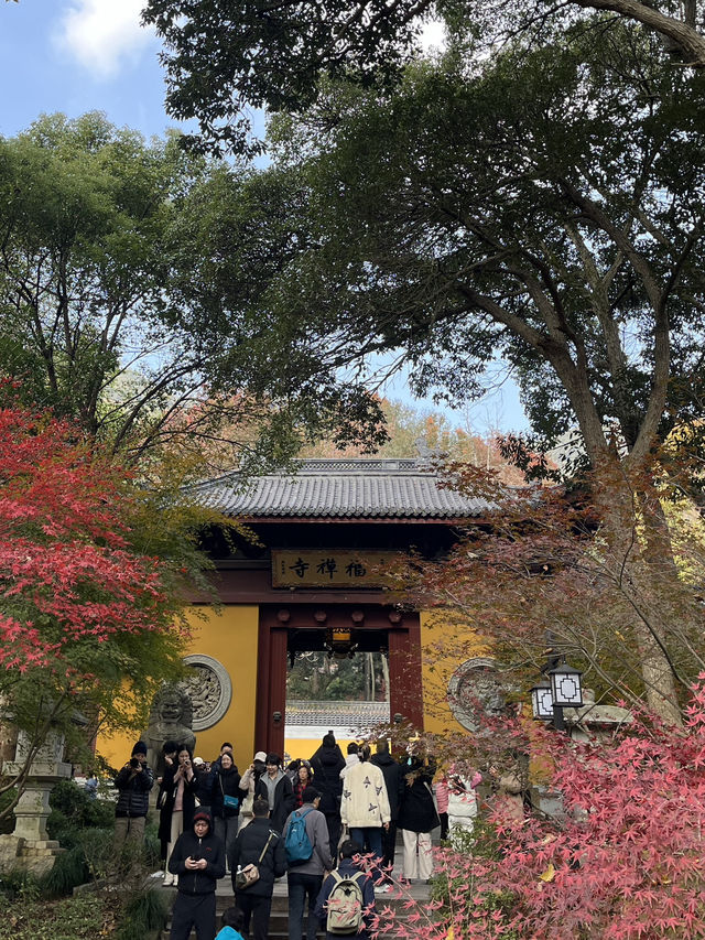 หางโจวใบไม้เปลี่ยนสี 🍂🍁