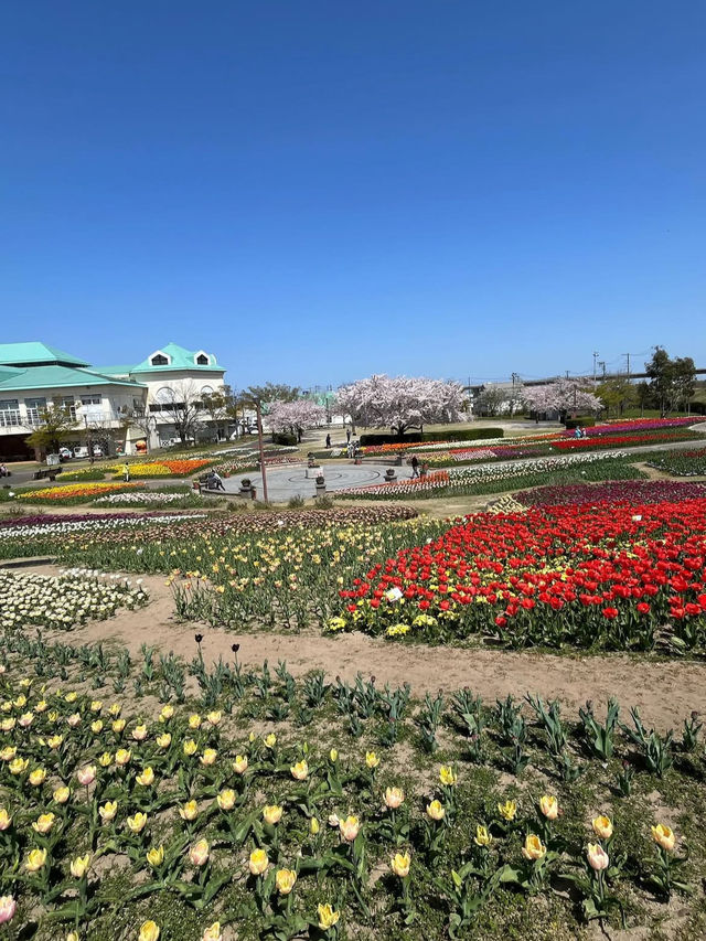 新潟の魅力を一度に満喫。新潟ふるさと村で心豊かな旅を🌾