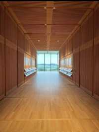 アートとデザインが融合する空間🎨富山県美術館で感性を磨く旅