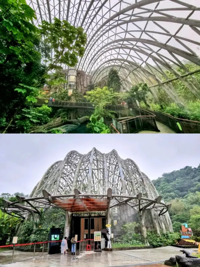 探索台北動物園:充滿樂趣的家庭出遊