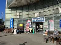 🍣 Fresh Finds and Local Flavor at Matsushima Fish Market