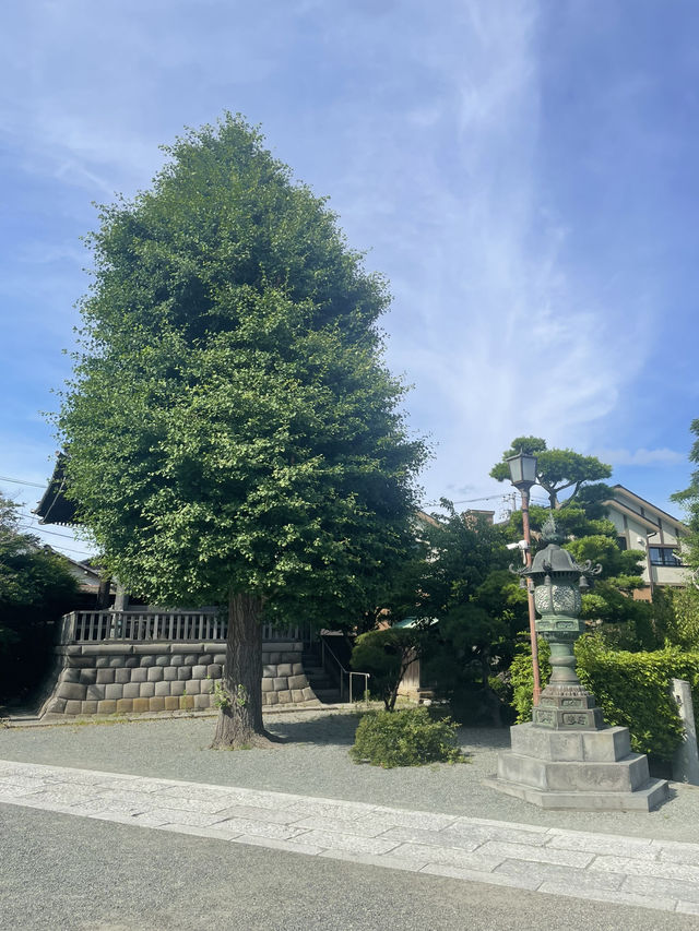 【神奈川県/鎌倉　紫陽花がキレイに咲いている穴場スポット】