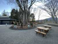 🚗 Akagi Kogen Service Area (Up) – A Top-Tier Highway Stop!