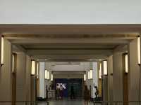 The Hague: Kunstmuseum Den Haag – Where the Building is Art Itself! 🇳🇱🎨