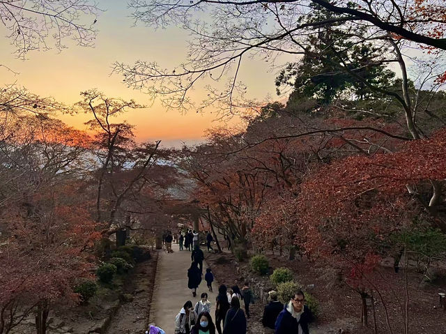 โอซาก้า🇯🇵