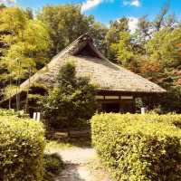🌿🌸 Yakushi-Ike Park (薬師池公園), Machida: A Hidden Summer Oasis Near Tokyo