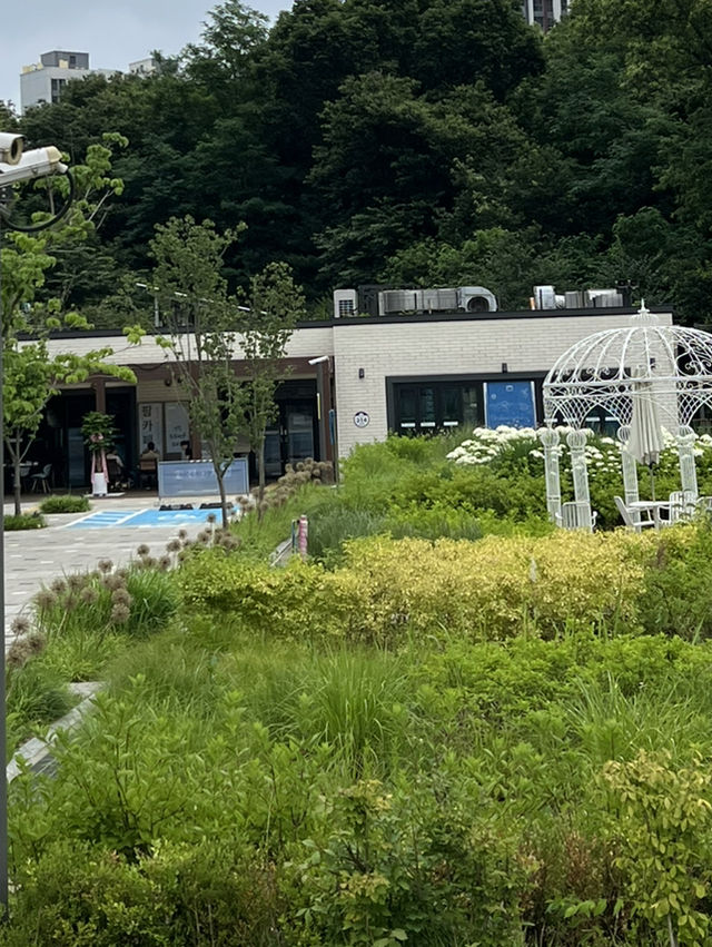 파믹스 센터 카페