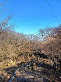 Beppu ropeway ⛰️🍁
