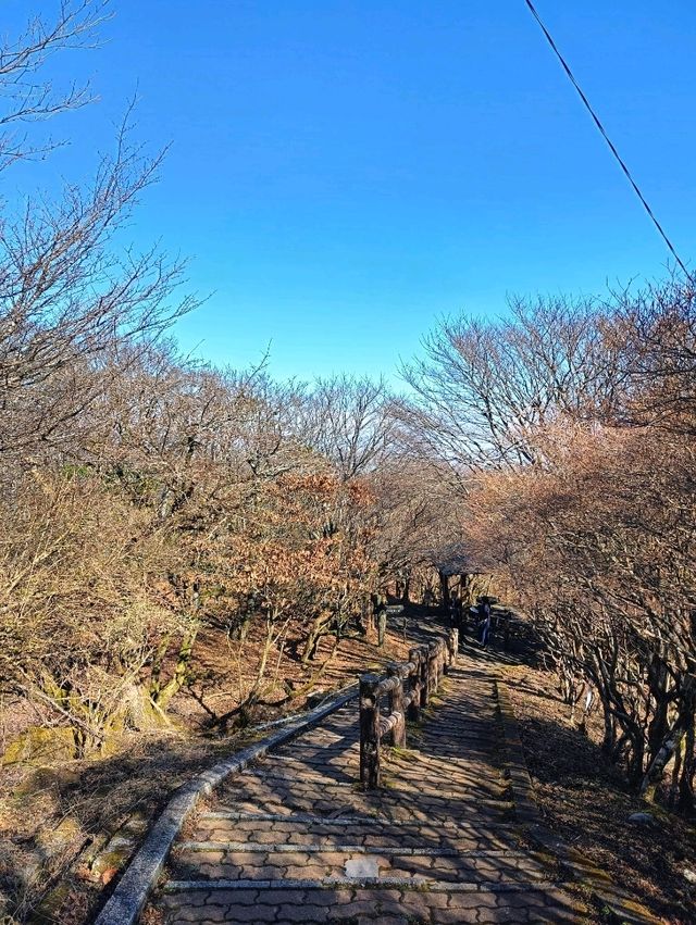 Beppu ropeway ⛰️🍁