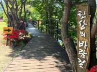 Water World Wonders in Okcheon