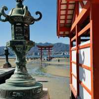 ⛩️ Great Torii Summer Survival Guide