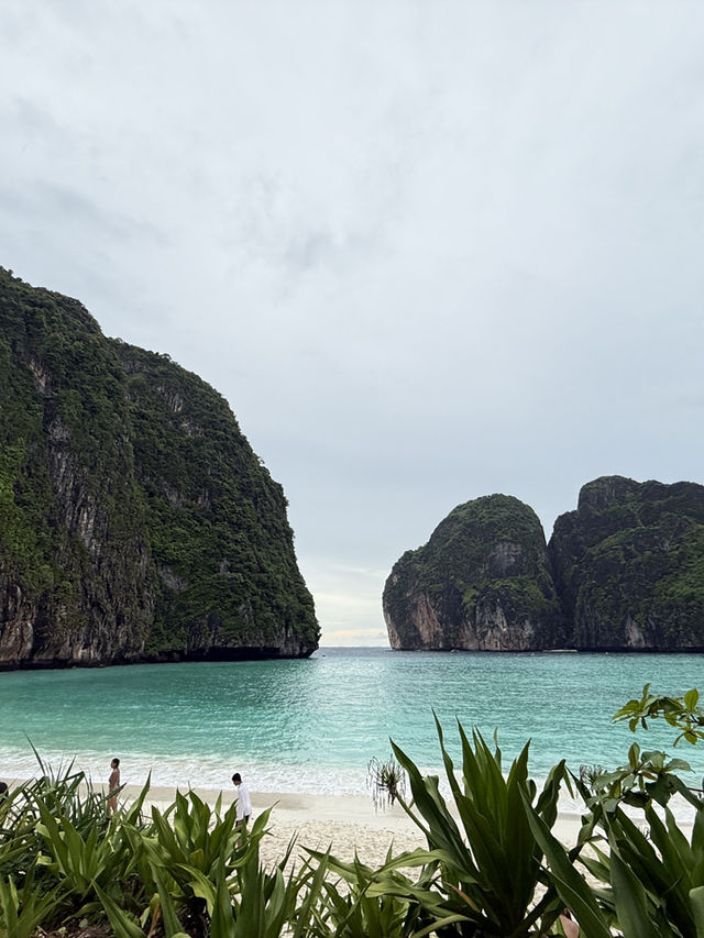 🏝️ Paradise Found: Maya Bay & Beyond! 🌊