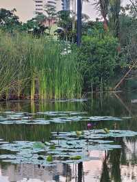 The variety of flora in the vast Water Lily Gardens